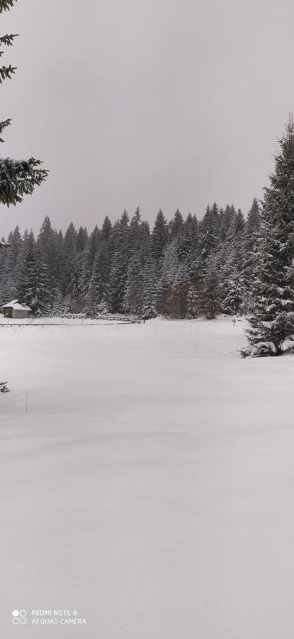 Vila Balerina Mitrovac Esterno foto